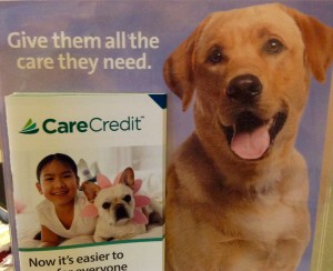 carecredit for dogs