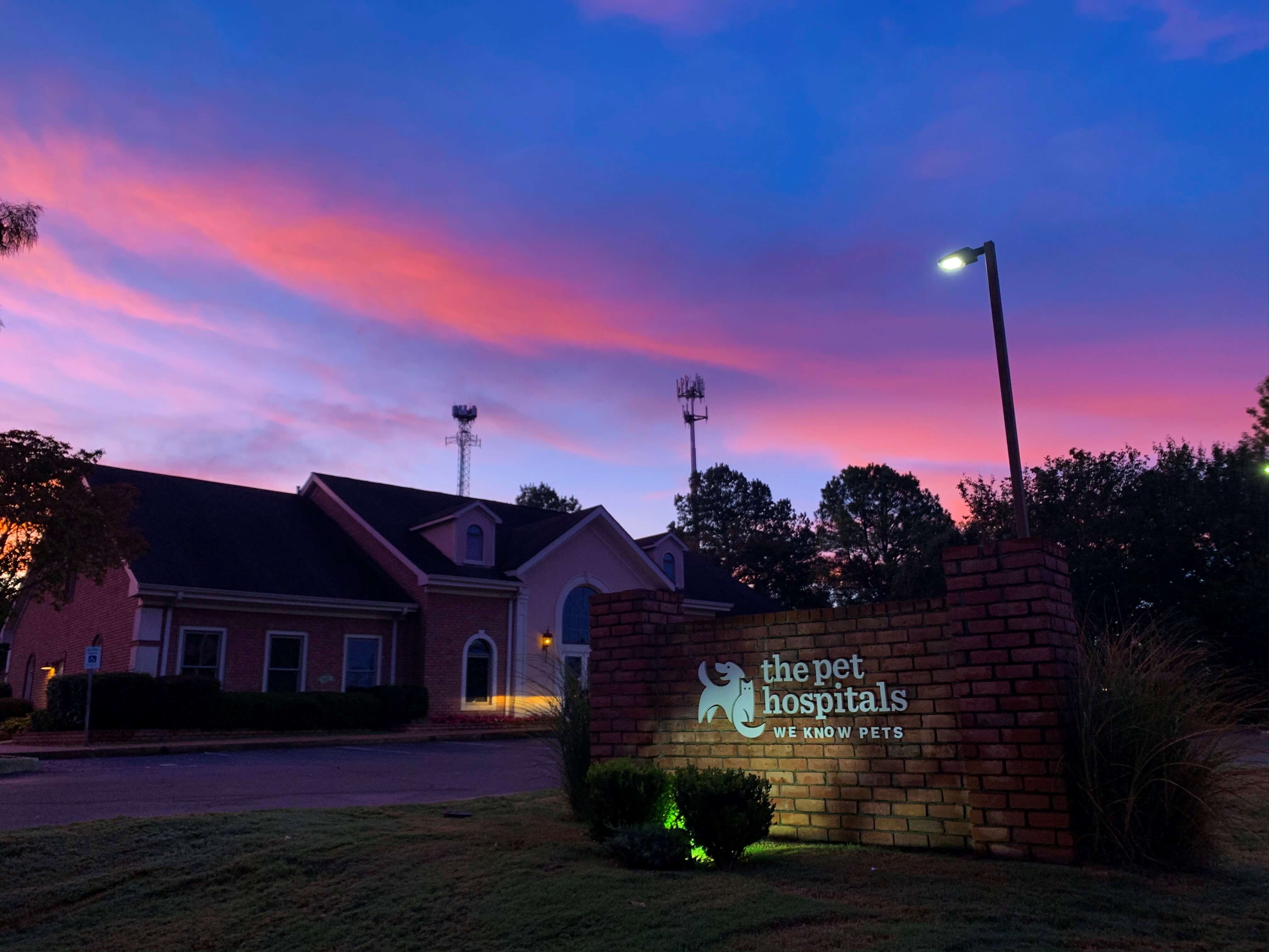 homepage - collierville animal clinic on collierville pet hospital byhalia rd