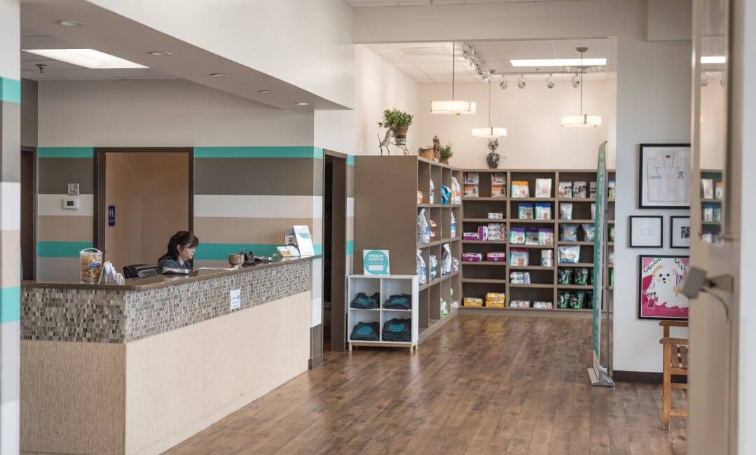 Expert Veterinary Care in Germantown The Pet Hospitals