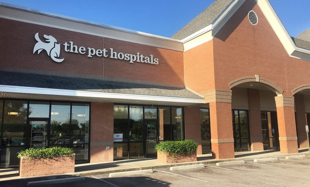 Expert Veterinary Care in Germantown | The Pet Hospitals