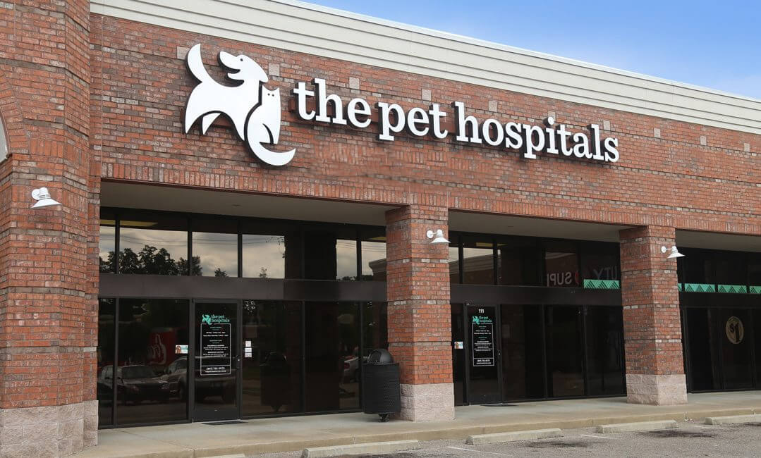 Expert Veterinary Care in Cordova | The Pet Hospitals