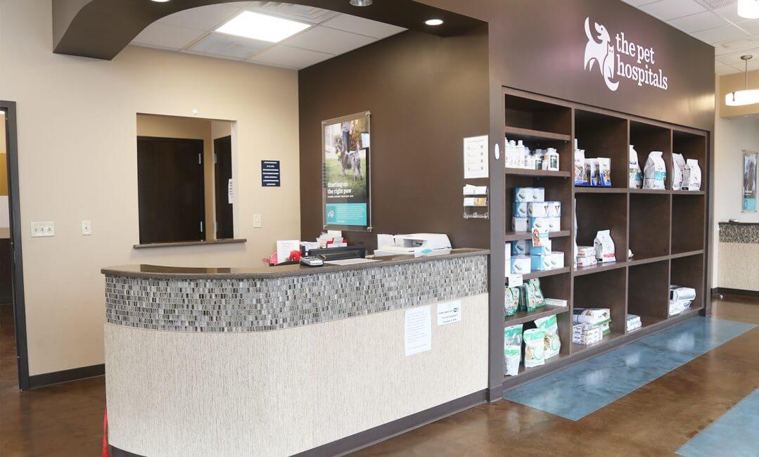 Expert Veterinary Care in Lakeland | The Pet Hospitals