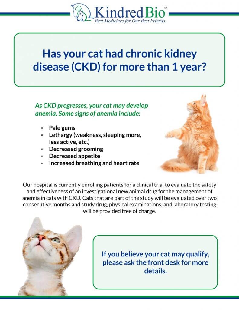 Kidney Disease Trial Flyer