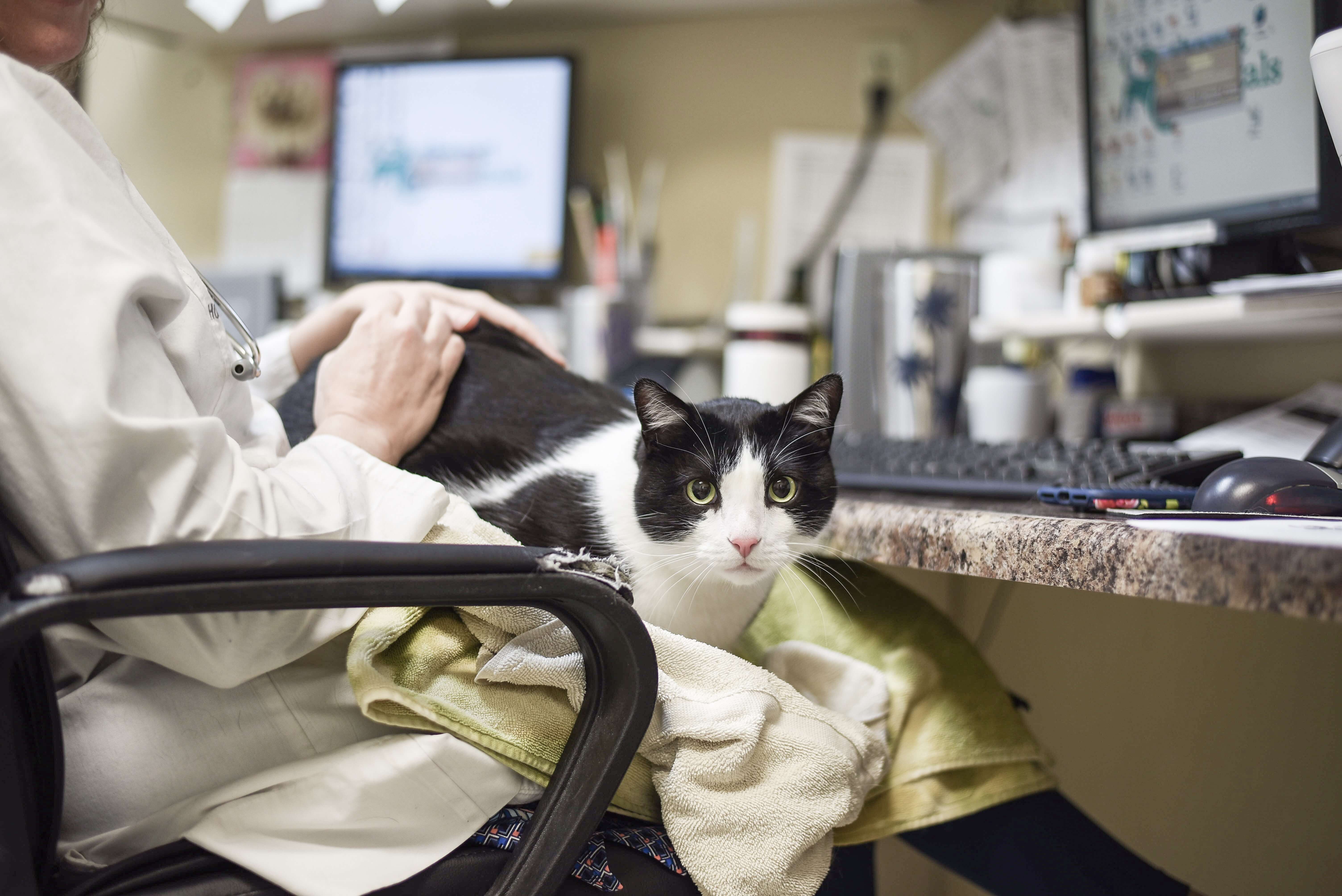 IMG_1595 The Pet Hospitals