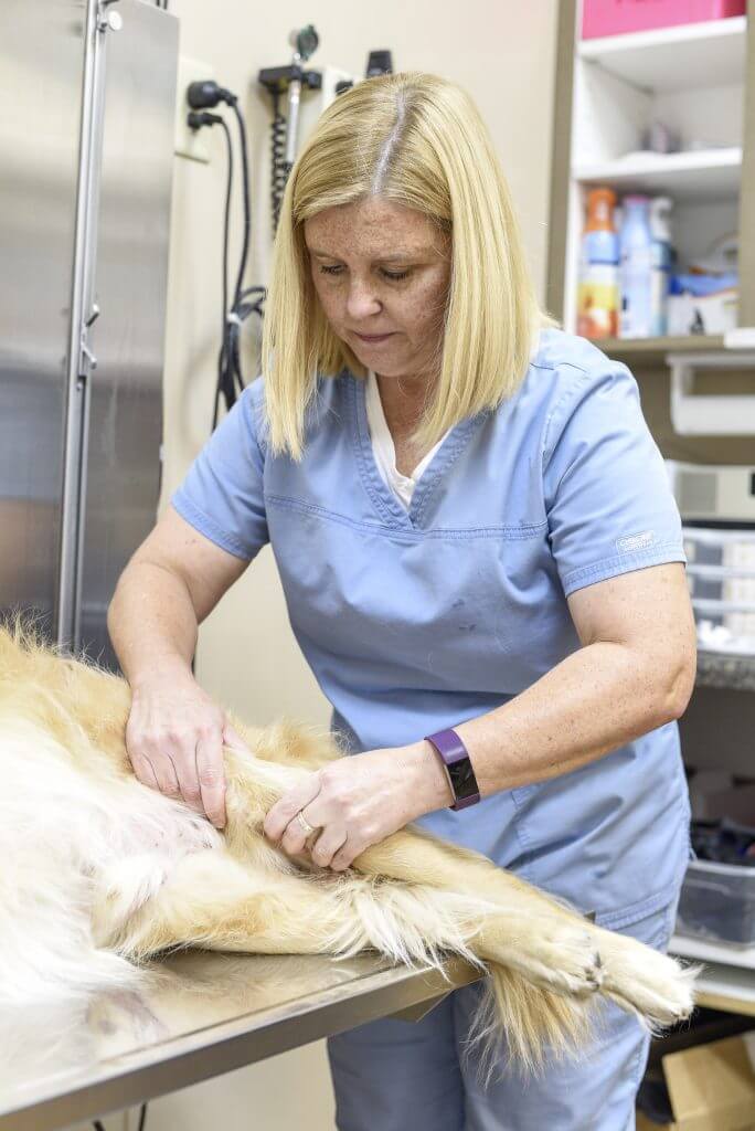 Checking for laxity in the knee