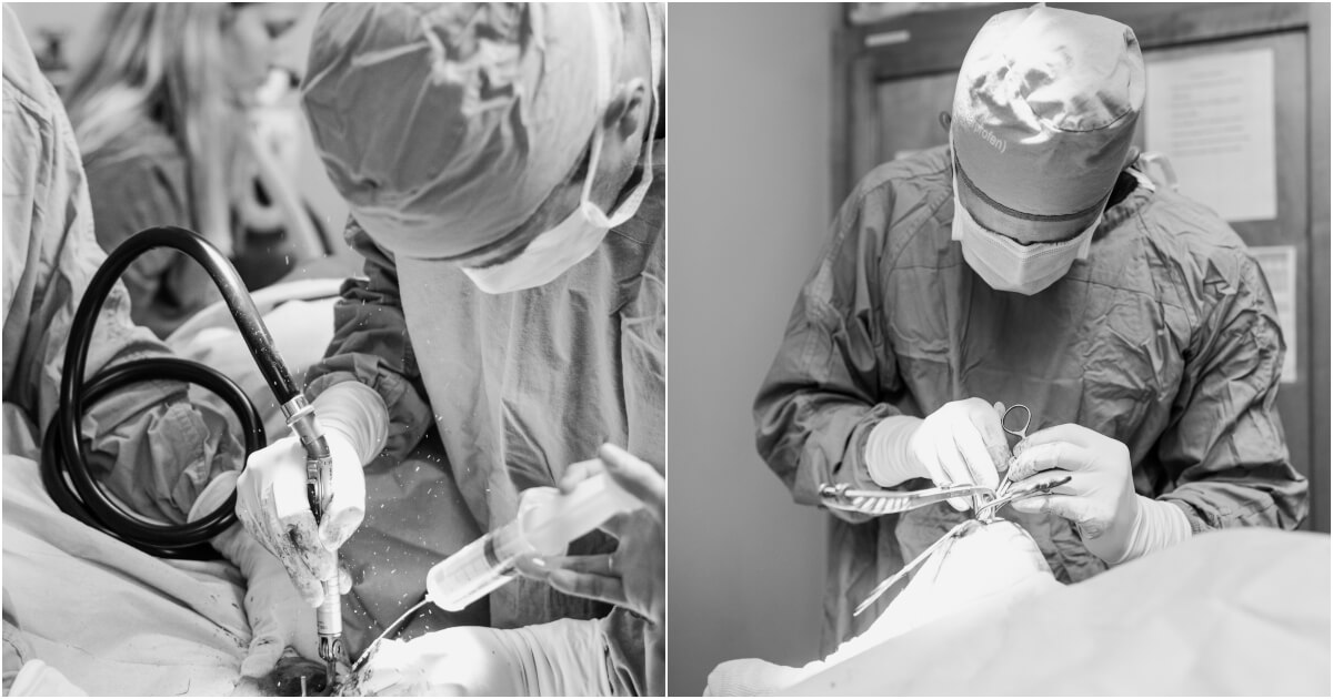 Torn ACL in Dogs Dog ACL Surgery The Pet Hospitals