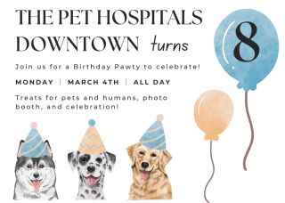 All day best sale pet hospital